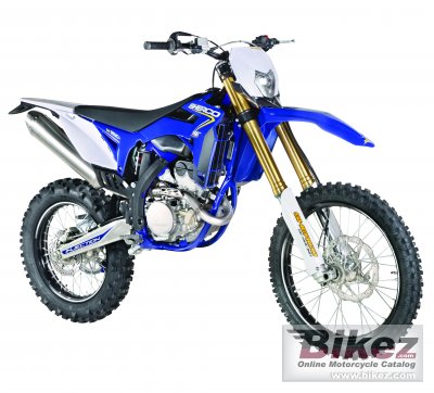 2013 Sherco SE 250i Enduro photo